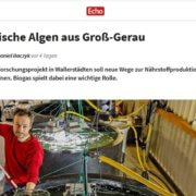 Algen aus Groß-Gerau auf www.echo-online.de